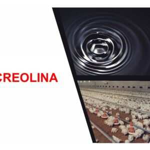CREOLINA